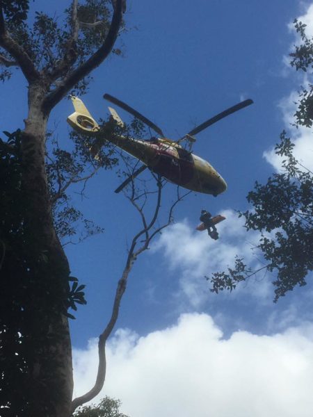 Seven-year-old rescued on Mount Warning