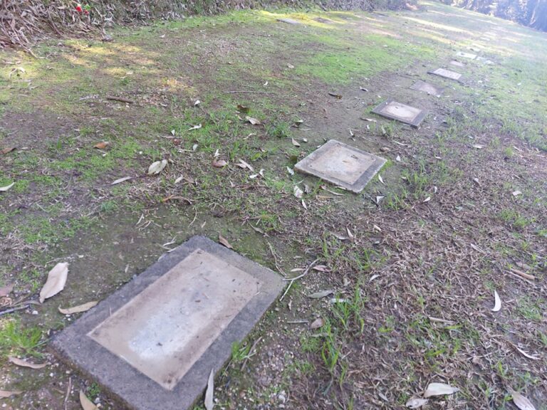 “Disgusting act”: 57 copper plaques stolen across two Tweed cemeteries